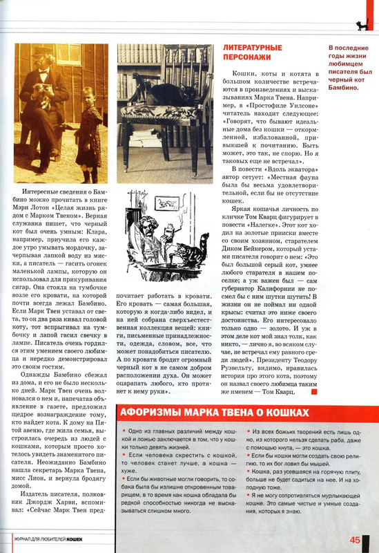 Друг кошек 2007-03-42