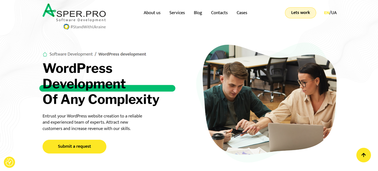 WordPress Development Company Asper.PRO