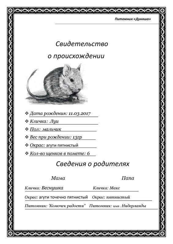 Луи