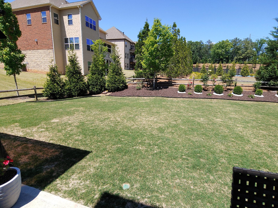 Remodelando nuestro Jardín Trasero: Ideas Creativas, image size:1067x800