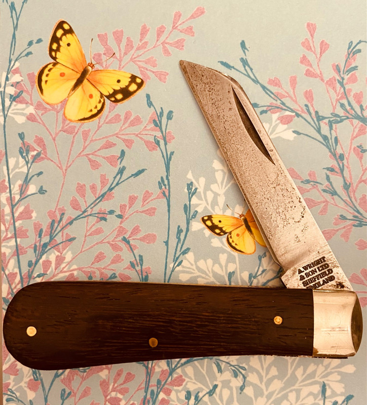 B4F4E4A7-03BB-4900-B7FA-F08746D30DE2