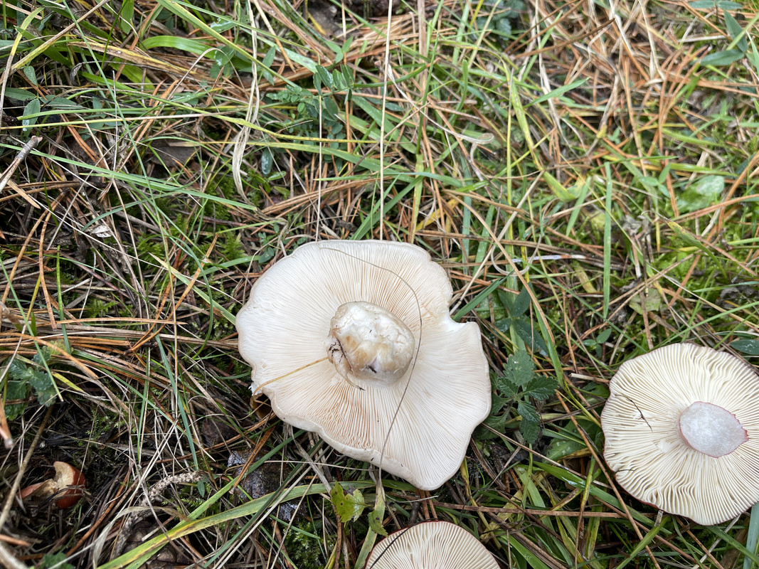 5B434137-0FA6-4488-8B51-A79A8CC8B106