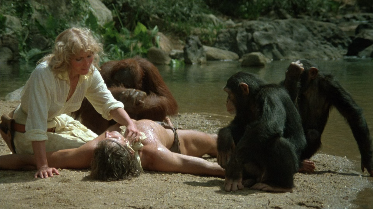 Tarzan The Ape Man 1981 WEBRip SDR 10Bit 1080p DDP5.1 HEVC-3Li.mkv_snapshot_01.07.20.286