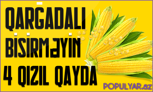 Qarğadalı bişirməyin 4 qızıl qaydası Qarğadalı bişirməyin 4 qızıl qaydası