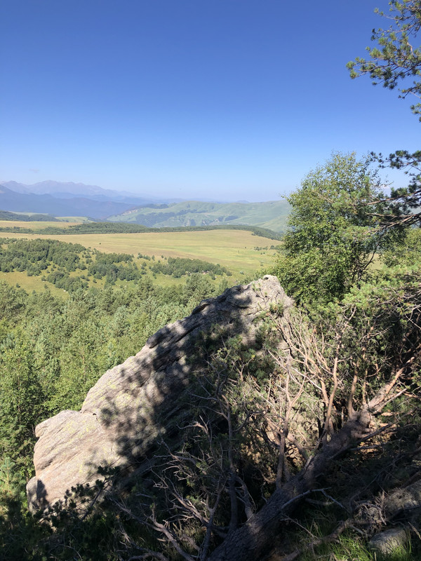 C4A03632-B47E-4C87-A0A8-832B723E2492