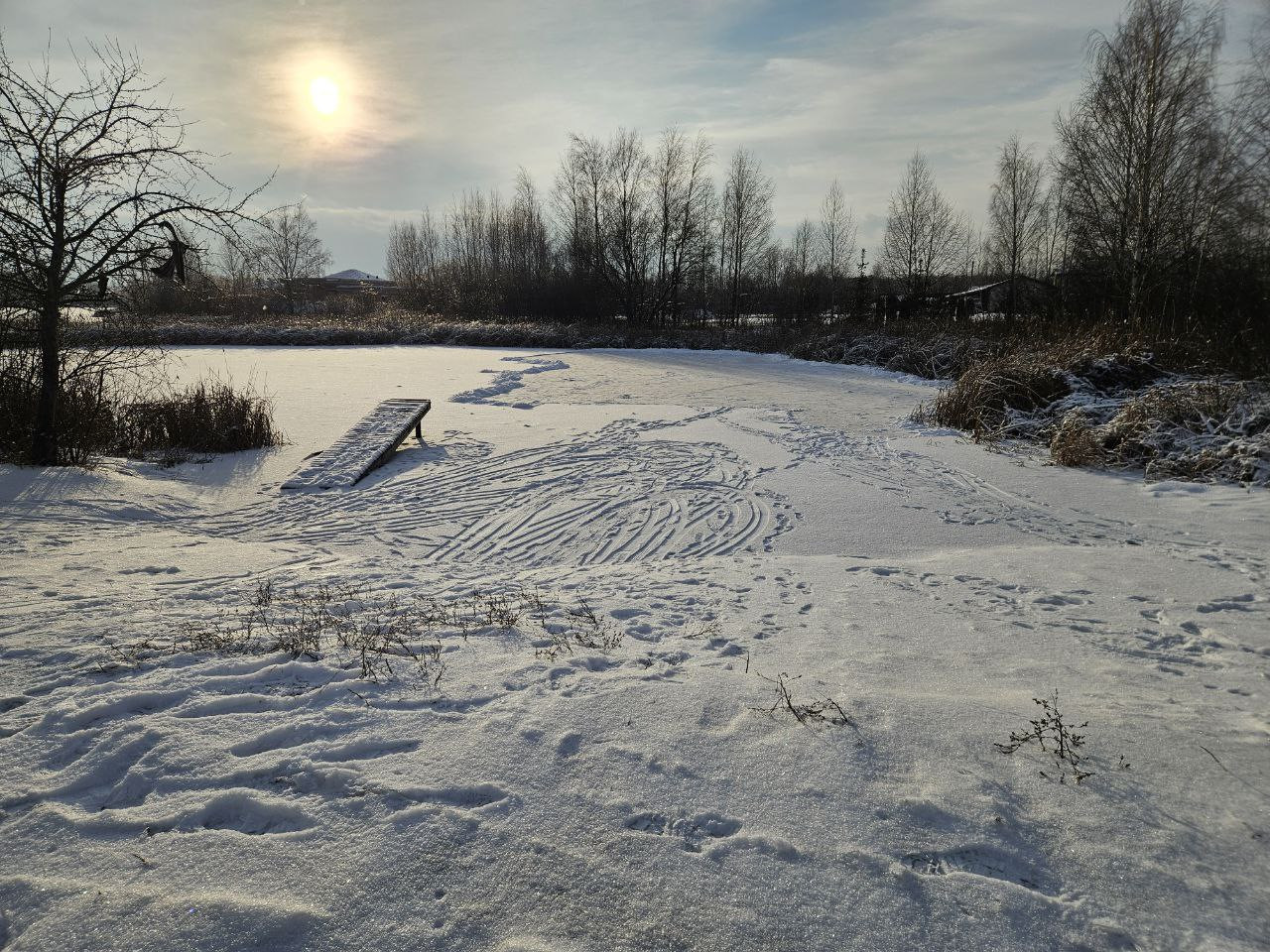 [Image: IMG-3336.jpg]