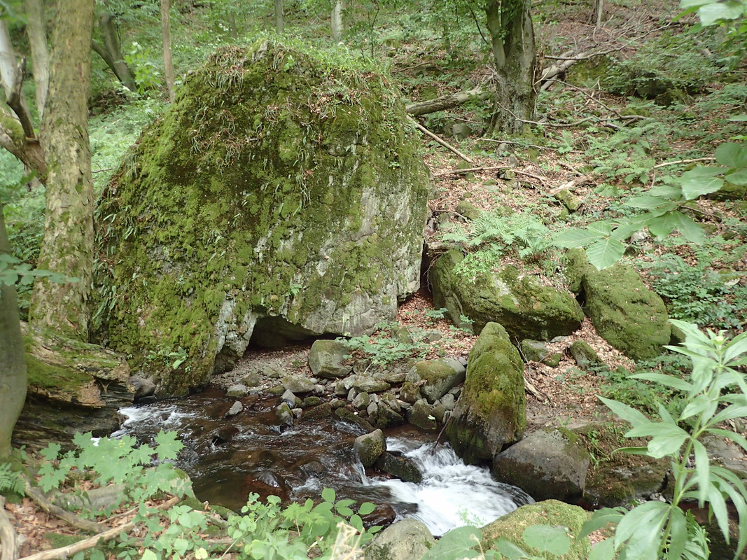 2019_0714VTACNIK_TG0151