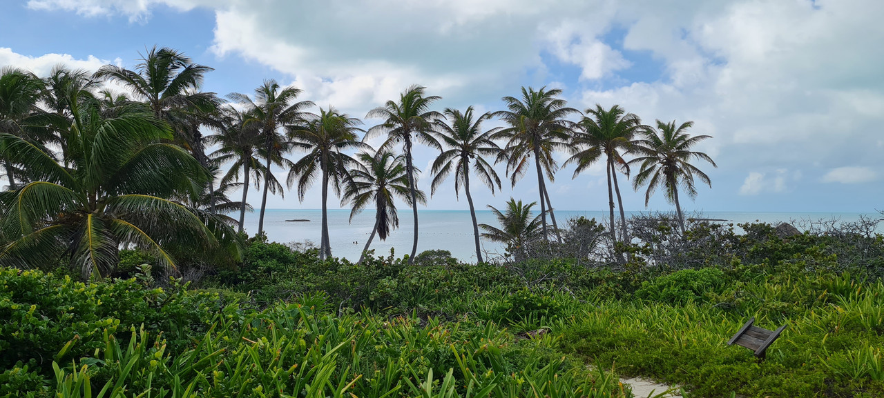 Isla Mujeres e Isla Contoy, un regalo de la naturaleza - Riviera Maya en Navidad (19)