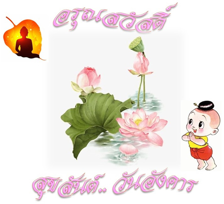 อรุณสวัสดิ์ วันอังคาร 1