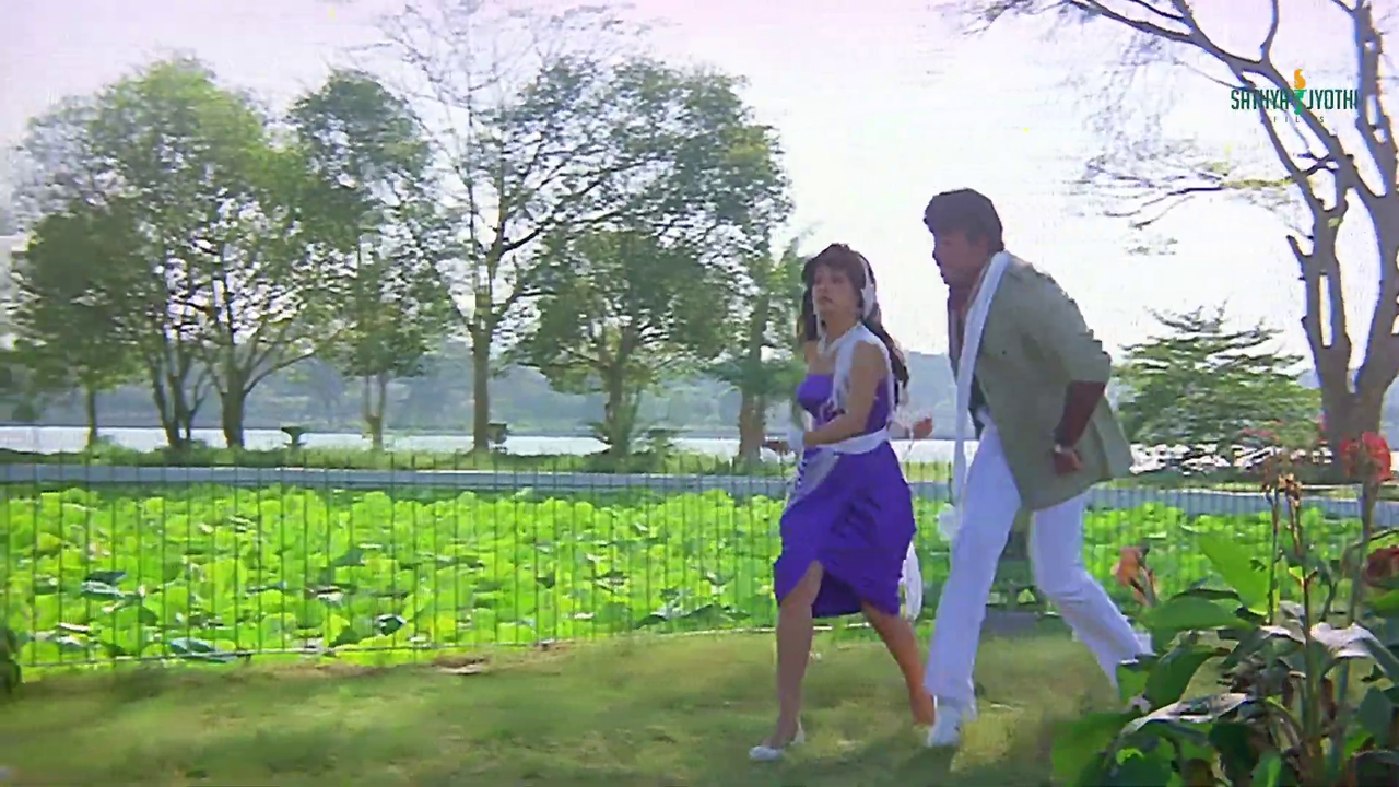 vlcsnap 2025 11 29 08h50m24s531