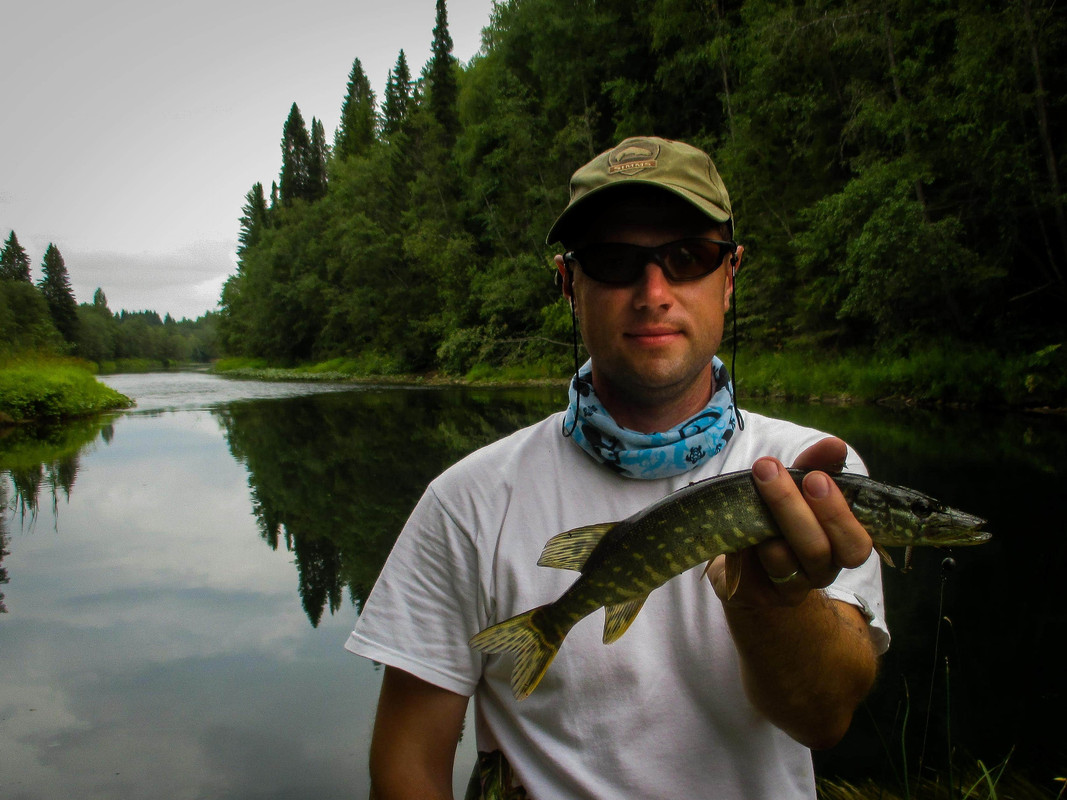 без имени-38