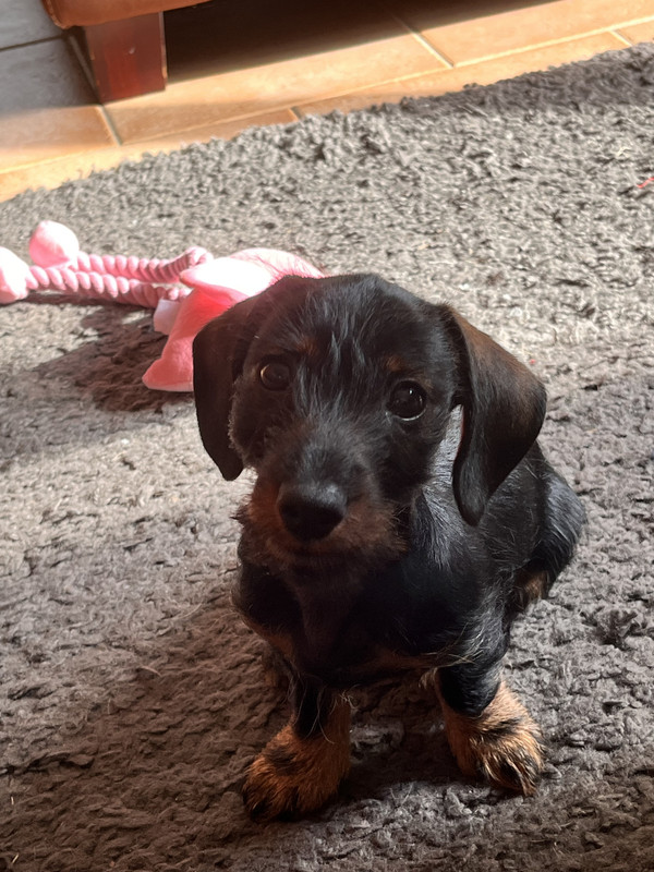 [Image: IMG-1566.jpg]