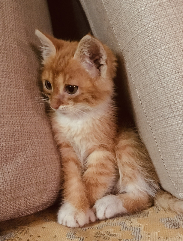 8D70EAEF-4D5C-46FB-B210-0C4D3B516A73