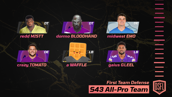 003_DSFL_first_team_defense