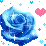 blue roses