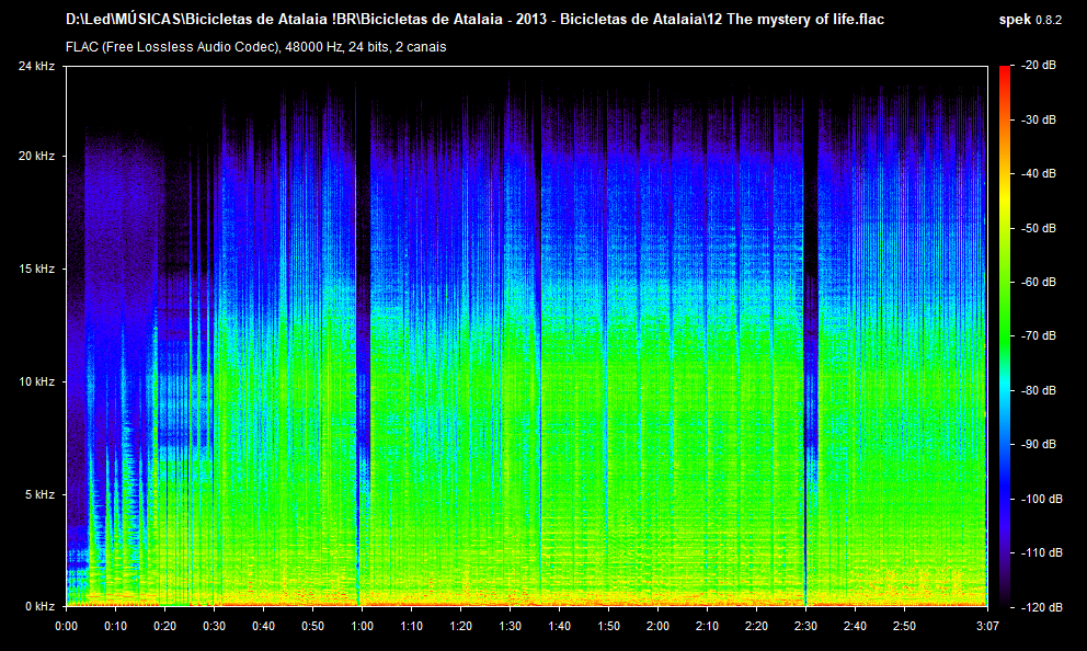 12 The mystery of life.flac