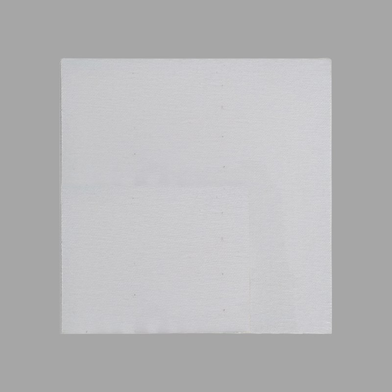 Image Transfer on Canvas DIY Kit
