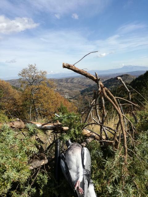 IMG-20181028-101310.jpg