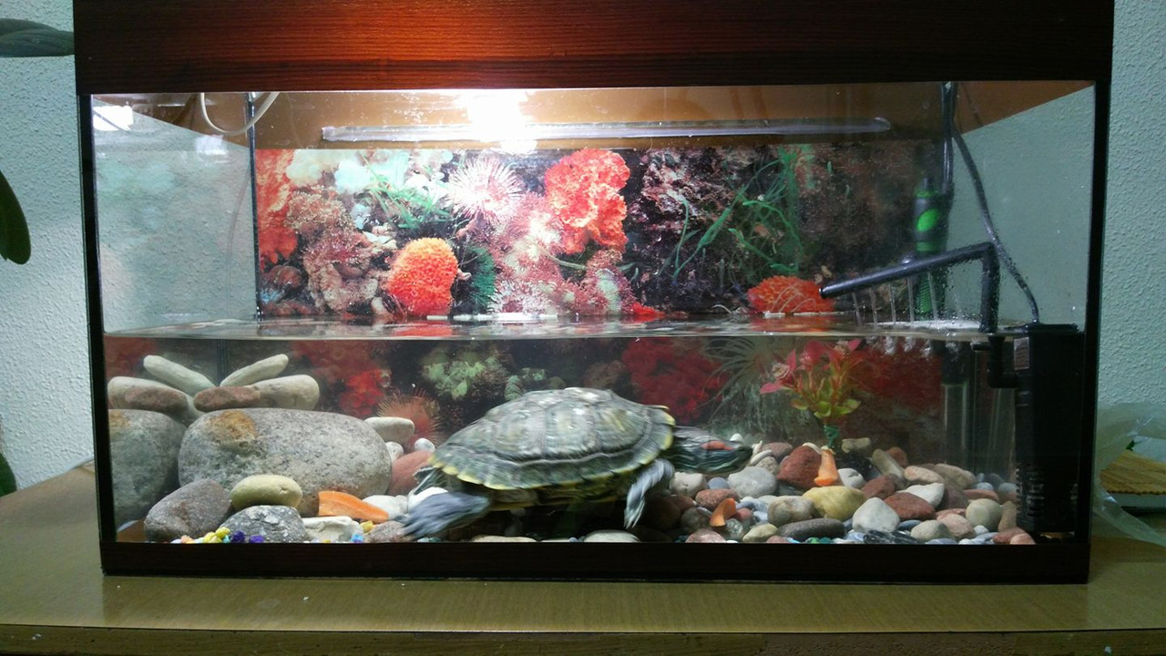 15392814_10209410985646317_8829643581017240594_o