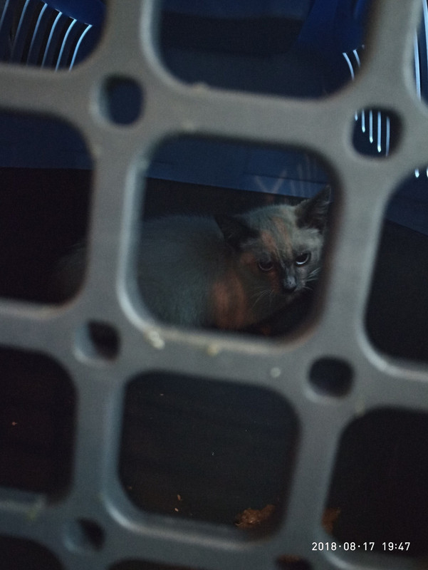 C9B5AB50-6919-4501-8F61-F415D4921583