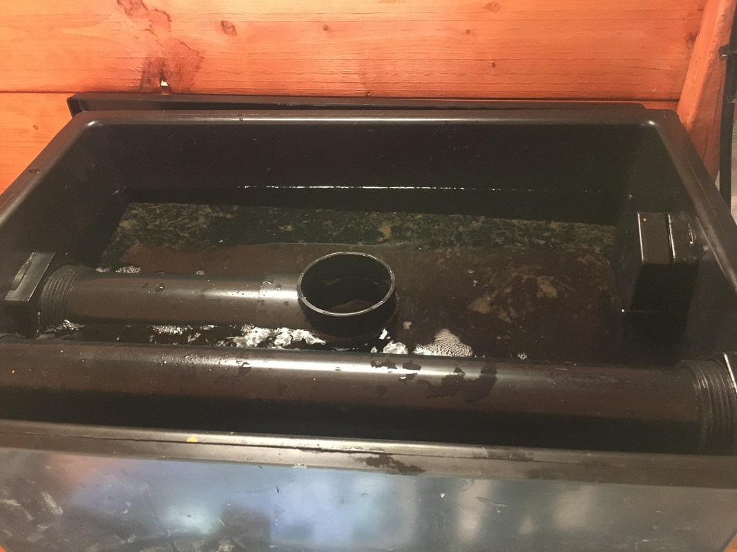 A3E971DC-5C7F-44D6-9181-2DDEEC59FDD6