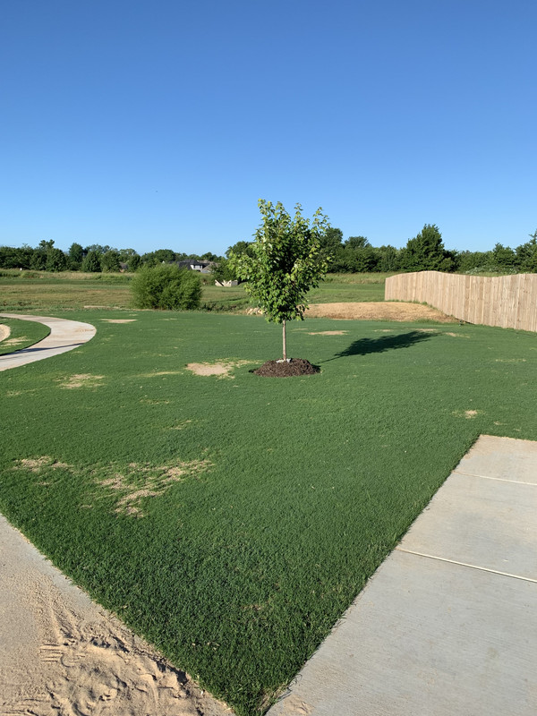 BB12B37B-2086-44D6-B966-68FBBCBF7CC6