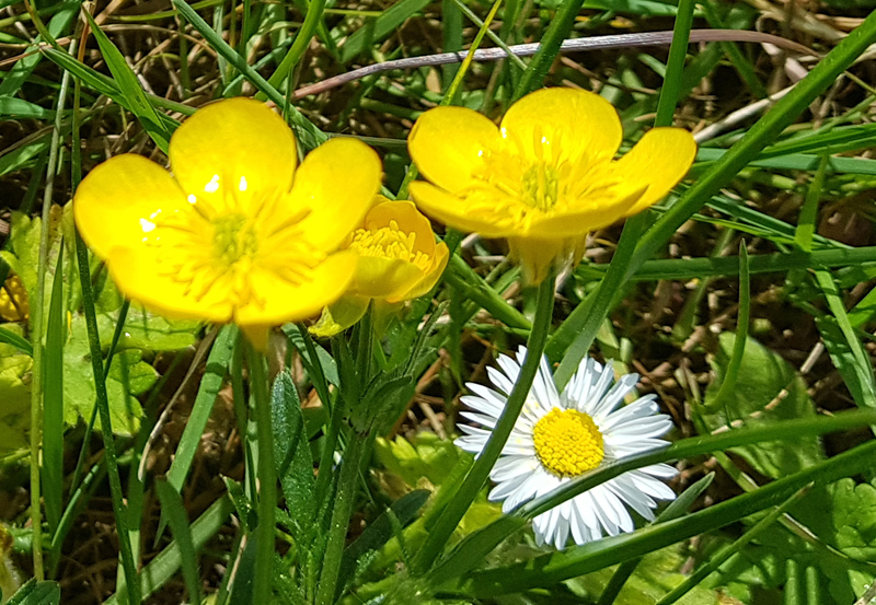 [Image: y20200416-125331.jpg]