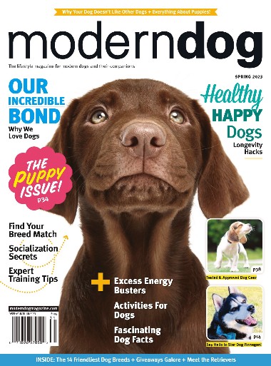 Modern Dog USA - Spring / 2023