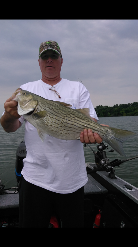 Screenshot_20180715-094457