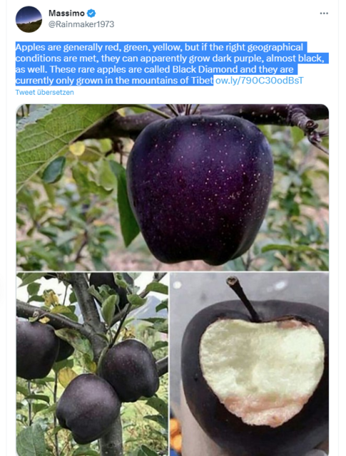 Schwarzer Apfel (Black Diamond) Schwarzer Apfel (Black Diamond)