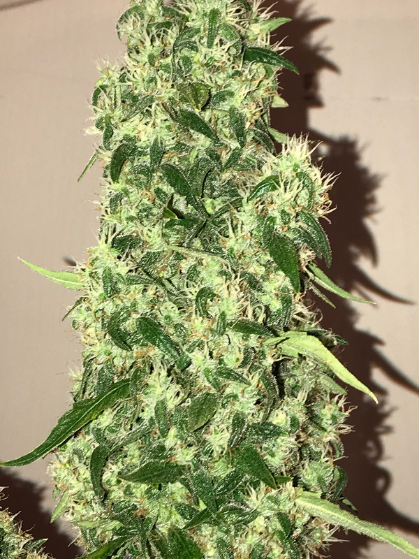 EC2ED849-DAA8-4050-9528-145E98666DD1