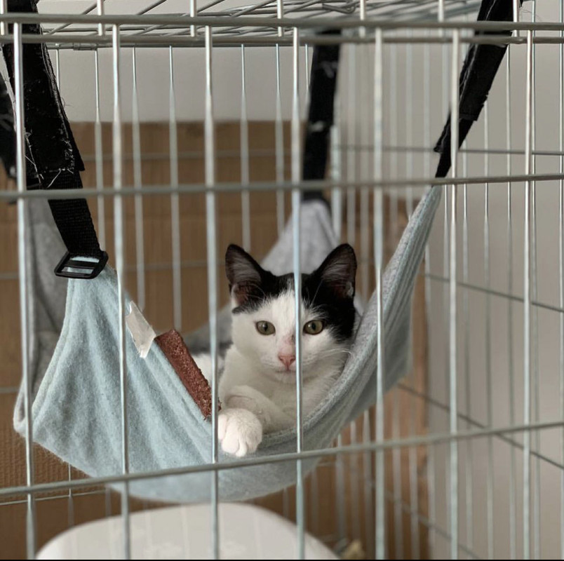 9E1FB62F-5FE8-45CB-BF62-541DA8FA4ED4