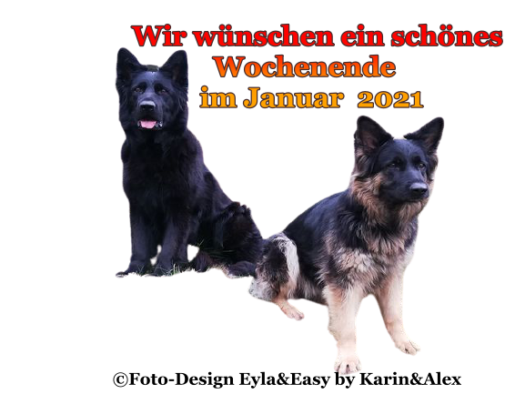 An den Beitrag angehängtes Bild: https://i.postimg.cc/3JLH6TV3/23-012021-Sch-nes-Wochenende.png
