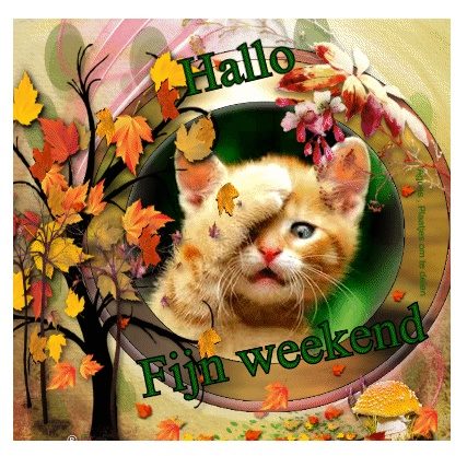 An den Beitrag angehängtes Bild: https://i.postimg.cc/3JLL5Kcd/animaatjes-facebook-plaatjes-fijn-weekend-weekend-4235438.jpg