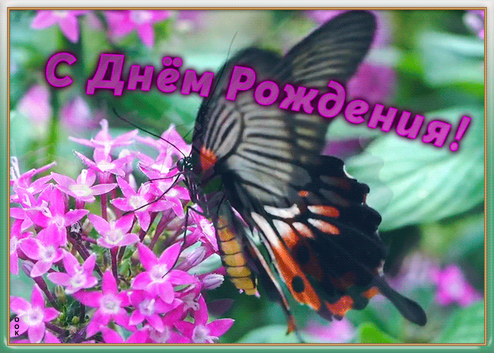 https://i.postimg.cc/3JLL5Stn/kartinka-s-dnem-rozhdeniya-devochke-s-babochkoy-761.gif