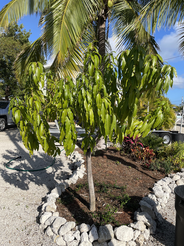 4872741E-E0E3-463F-B0A4-67E3AD666A67