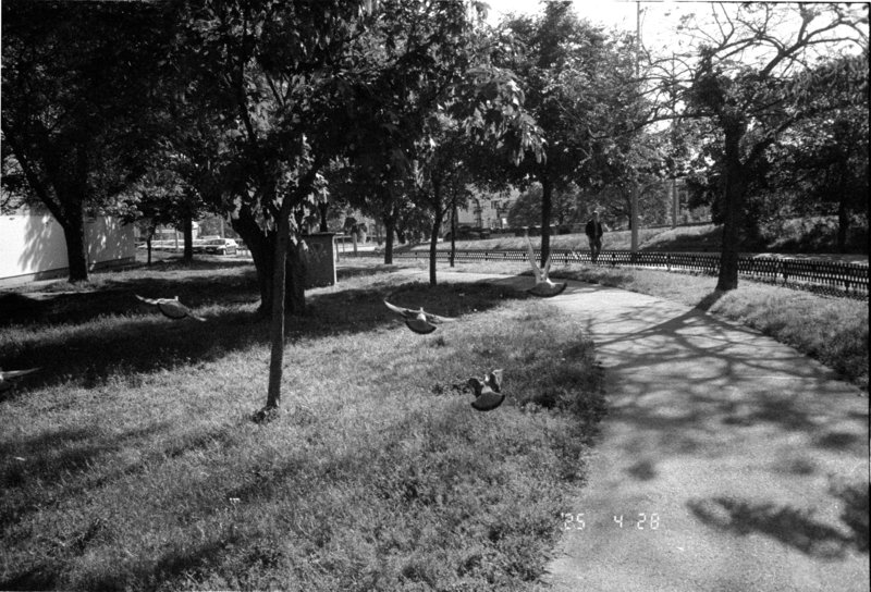 photo-3