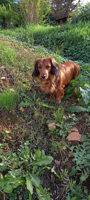 [Image: 20241011-154313.jpg]