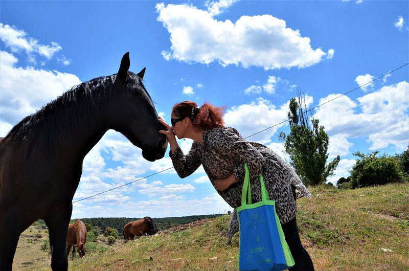 EMBALSE PUENTES VIEJAS, FORTINES Y ANIMALES-24-5-2014-MADRID - Paseando por España-1991/2015-Parte-1 (31)