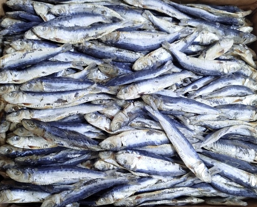 Dried sardines
