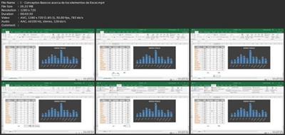 Aprende Excel 2019 Básico Desde  Cero 40qg25kbnbyg3tt1kzoftls2gm7rqq51