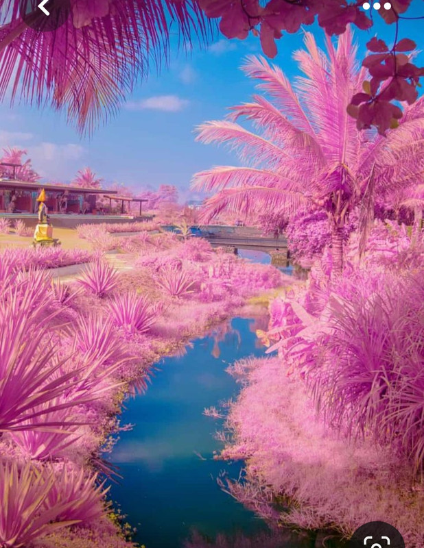 Screenshot_20230429_005934_Pinterest