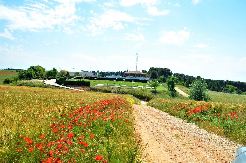 MADRID Y SUS PUEBLOS-2000/2022 - Blogs of Spain - SANTORCAZ-25-5-2020 (90)