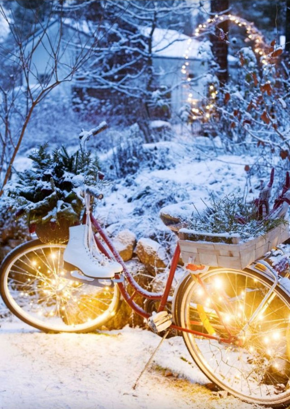 Screenshot_20230515_223158_Pinterest