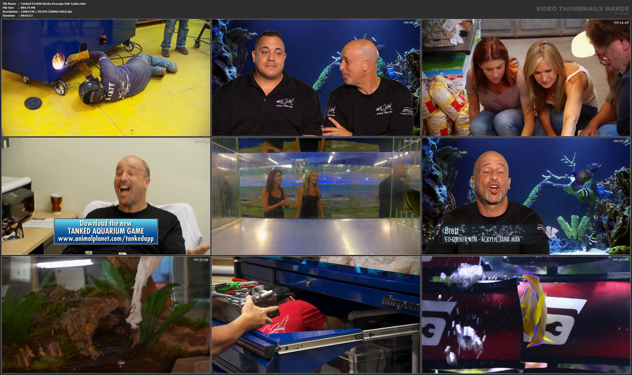 Tanked S11E06 Nacho Average Fish Tanks.mkv