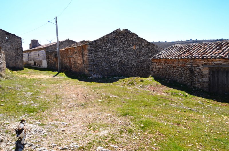 TORRECILLA DEL DUCADO-15-3-2014-GUADALAJARA - Pueblos y lugares abandonados/deshabitados-2011 AL 2024 (9)