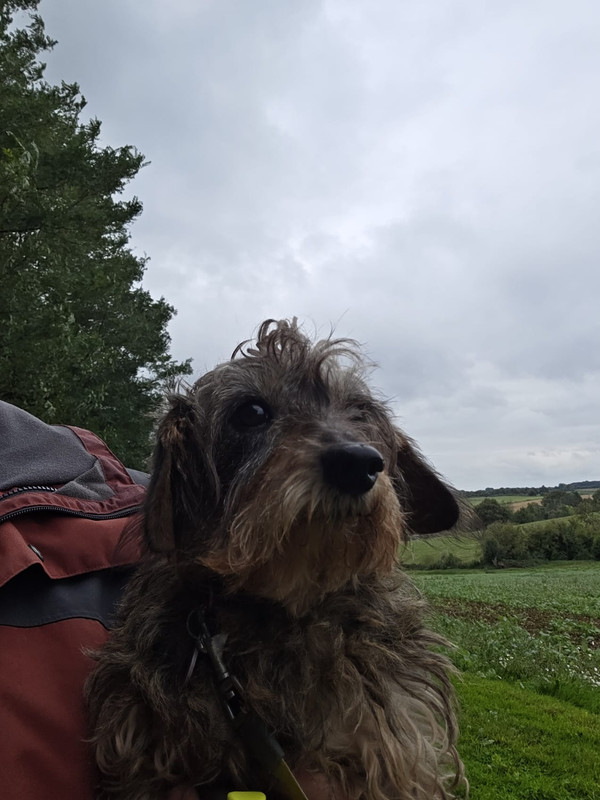 [Image: IMG-20250924-WA0007.jpg]