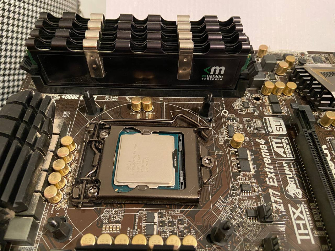 photo_2022-09-24_12-29-06