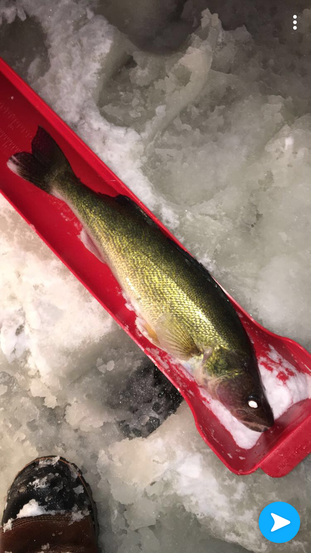 855452D1-EC46-4038-881F-30058E2F11EA