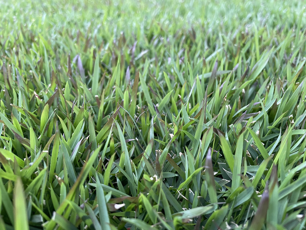 BF578FCC-EB4C-439D-ACAE-FDC52038ADE3